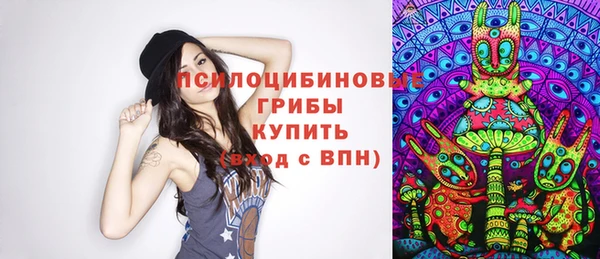 МДПВ Алексин