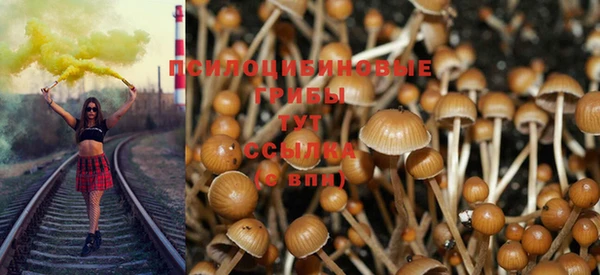 mdpv Алзамай