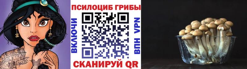 blacksprut ONION  Дербент  Галлюциногенные грибы прущие грибы 
